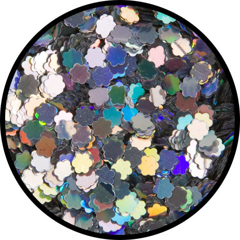 6 g Holographischer Streu Glitzer "Daisis"