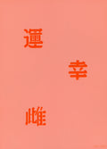 Eulenspiegel Airbrush Schablone Chinese Characters II