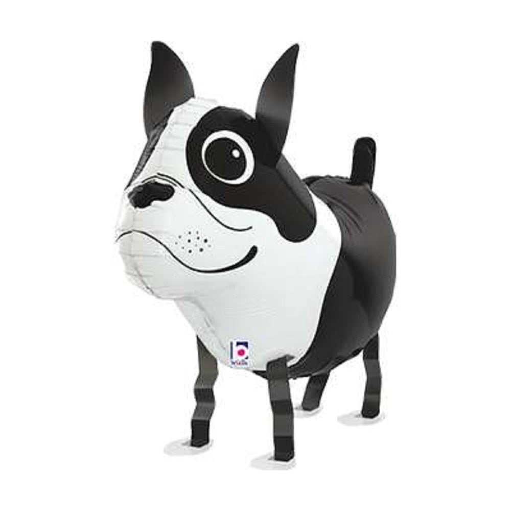 Boston Terrier Airwalker Folienballon 48cm 19''