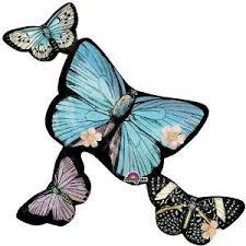 Butterfly Cluster Folienballon - 96cm