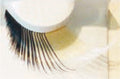 Eulenspiegel Wimpern Black & White ein Paar