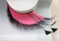 Eulenspiegel Wimpern Rosé / Schwarz mit schwarzen Federwedeln ein Paar