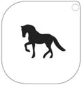 Grimas Schminkschablone Pferd Nr. 47 Make up Template
