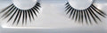 Grimas Wimpern 250 XL ein Paar