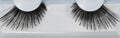 Grimas Wimpern 251 XL ein Paar