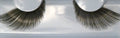 Grimas Wimpern 254 XL ein Paar