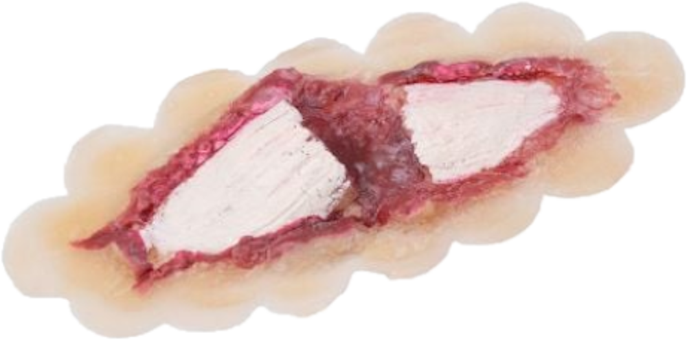 Grimas Latexprothesen 810 Knochenbruch 85x35mm