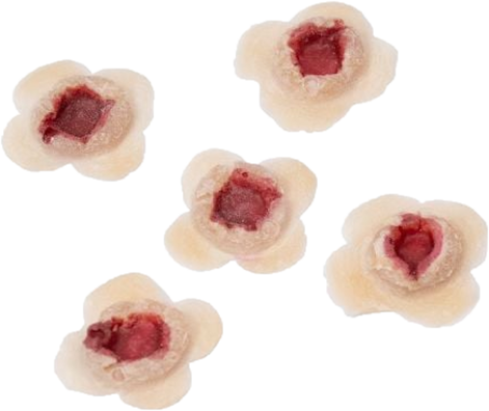 Grimas Latexprothesen 815 Einschusslöcher 5 x 25x25mm