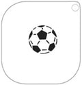Grimas Schminkschablone Fußball Nr. 40