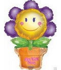 Mini Folienballon Blume im Topf Get well 33cm 13"