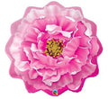 Rosa Pfingstrose Pink Peony Folienballon 84cm 33''