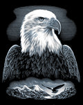Reeves Kratzbild Silber Adler