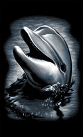 Reeves Mini Gravurfolien Silber Delfin