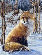 Reeves Artist Collection Malen nach Zahlen Fuchs