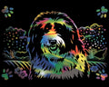 Reeves  Gravurfolien Regenbogen Hund