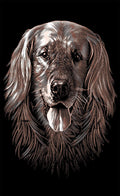 Reeves Mini Gravurfolien Gold Hund