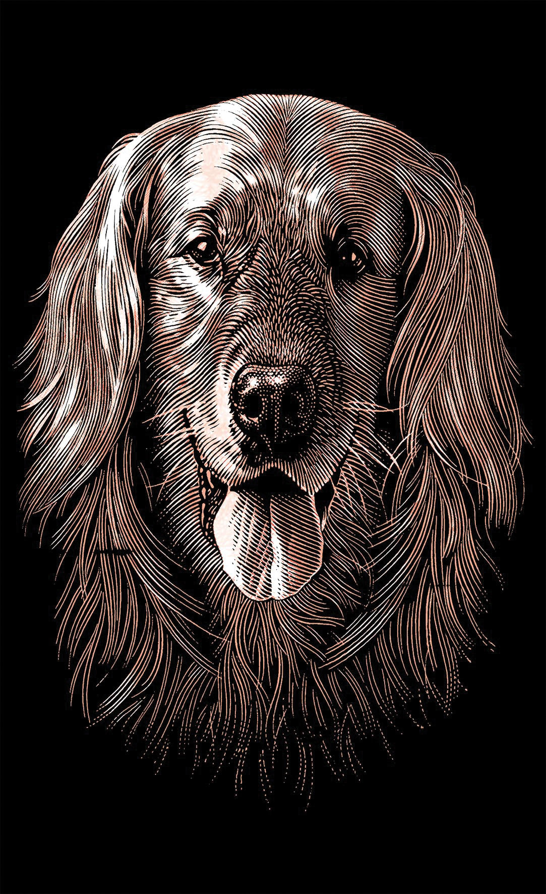 Reeves Mini Gravurfolien Gold Hund