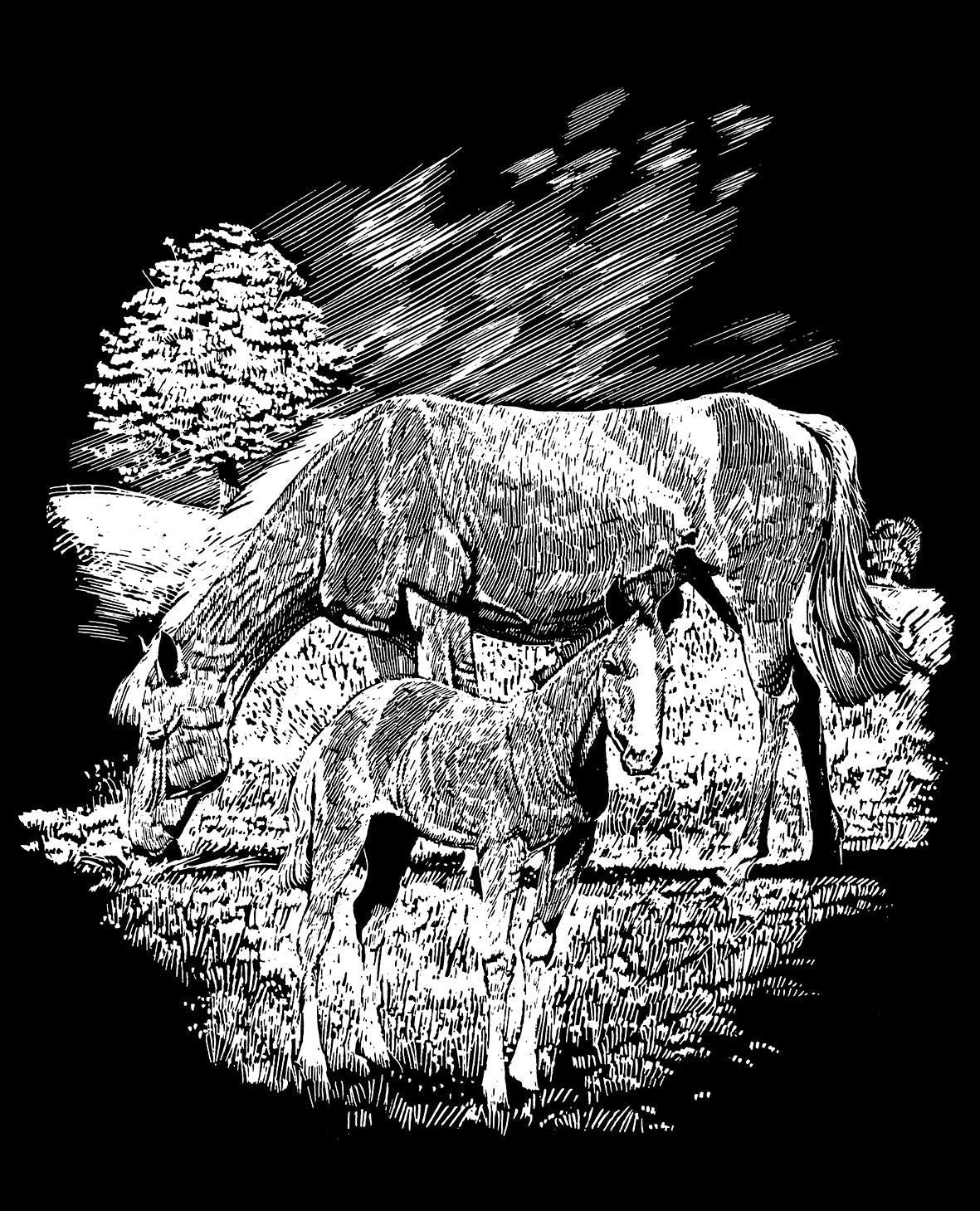 Reeves Gravurfolien Silber Pferd mit Fohlen