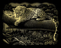 Reeves  Gravurfolien Gold Leopard