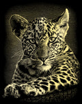 Reeves  Gravurfolien Gold Leoparden Portrait