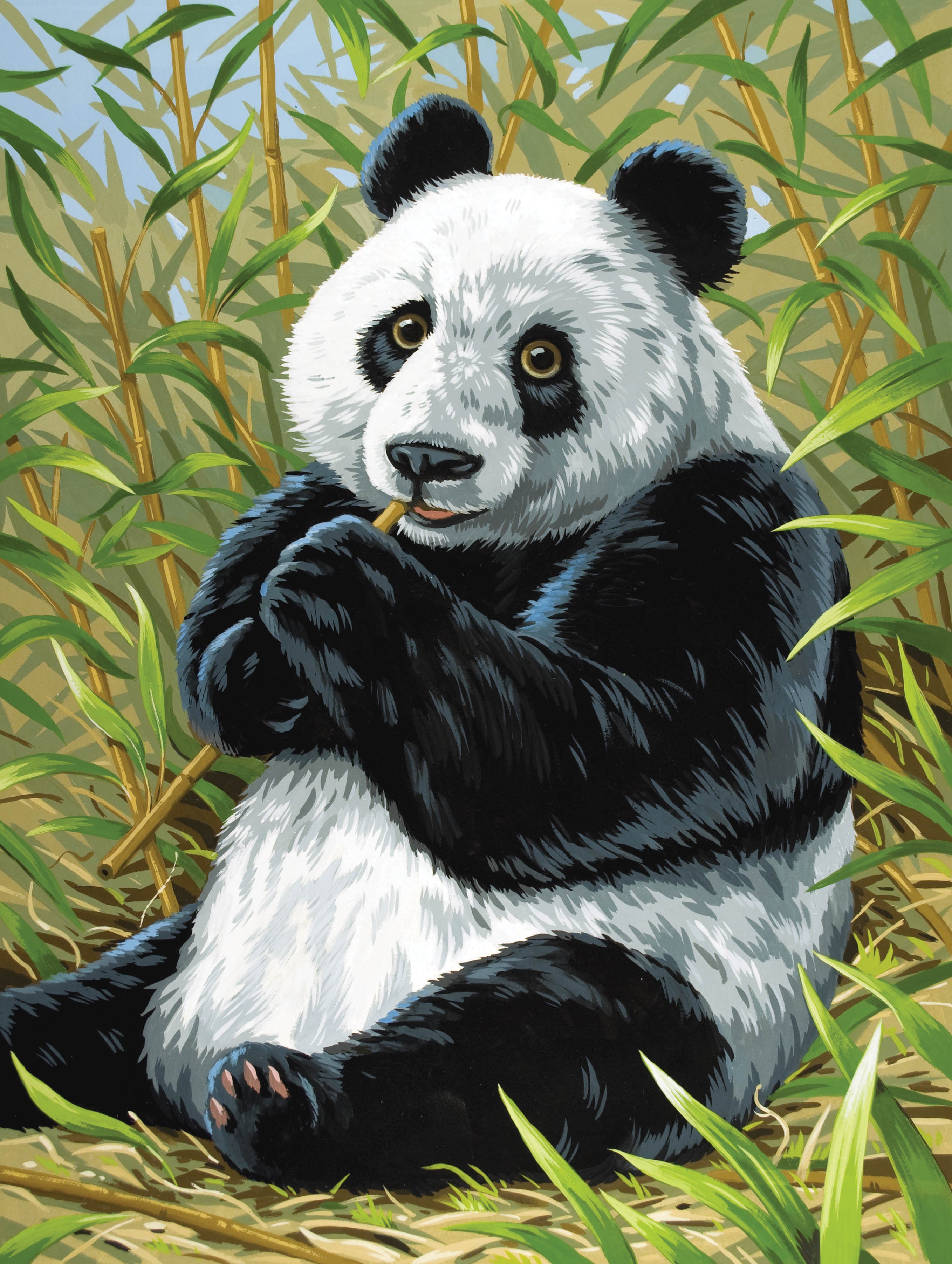Reeves Junior Malen nach Zahlen Panda