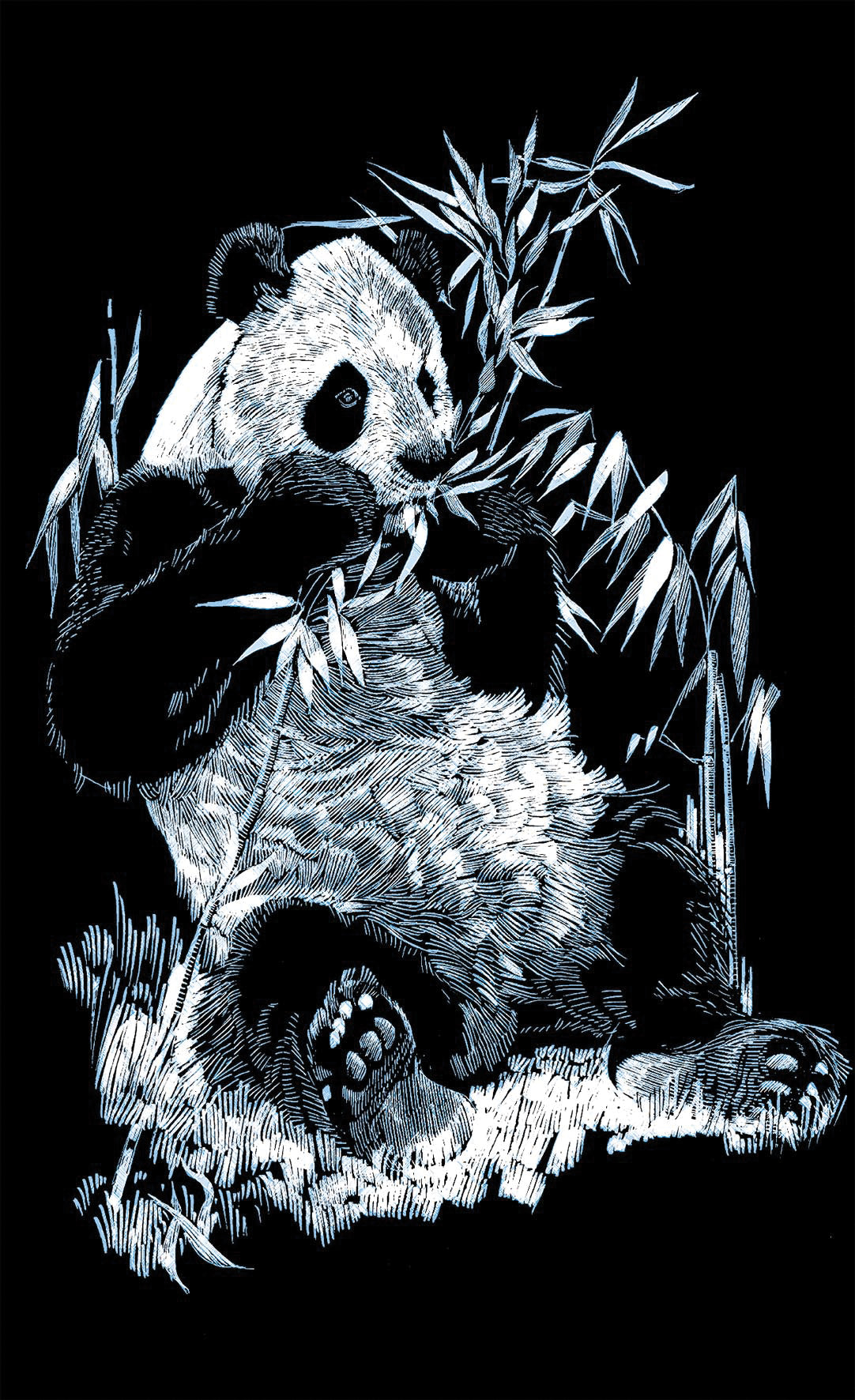 Reeves Mini Gravurfolien Silber Panda