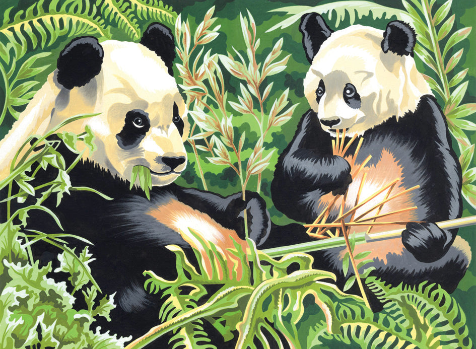 Reeves Malen nach Zahlen Pandas