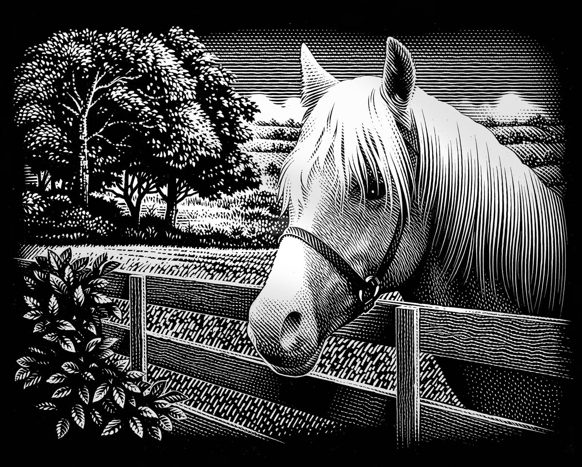 Reeves Gravurfolien Silber Pony \ Pferd am Gatter