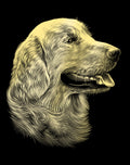 Reeves  Gravurfolien Gold Retriever Portrait