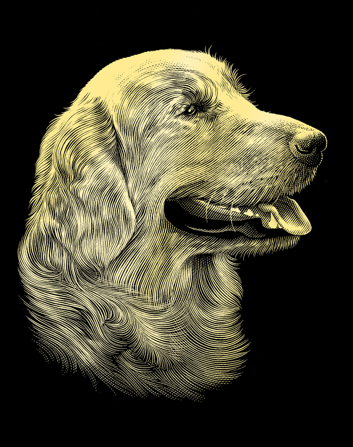 Reeves  Gravurfolien Gold Retriever Portrait