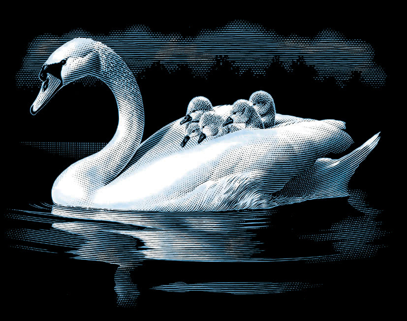 Reeves Gravurfolien Silber Schwan mit Jungen