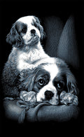 Reeves Mini Gravurfolien Silber Spaniels