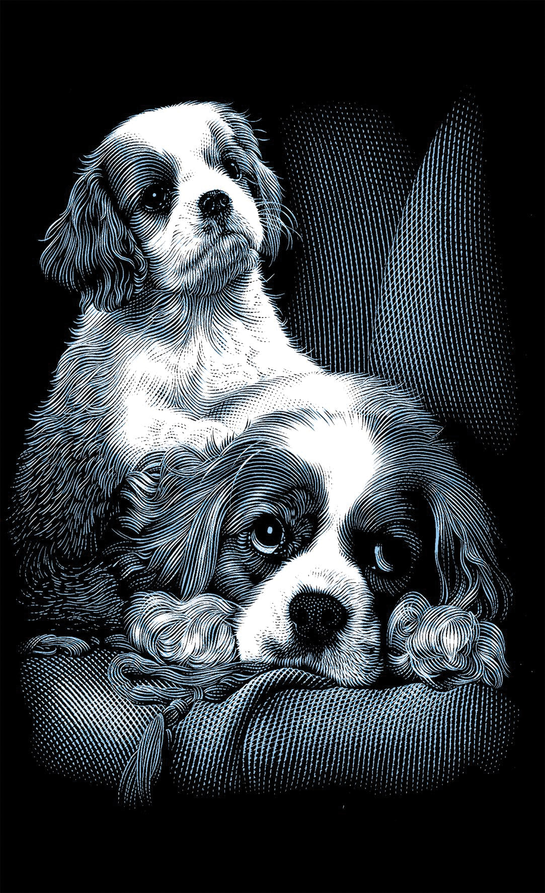 Reeves Mini Gravurfolien Silber Spaniels