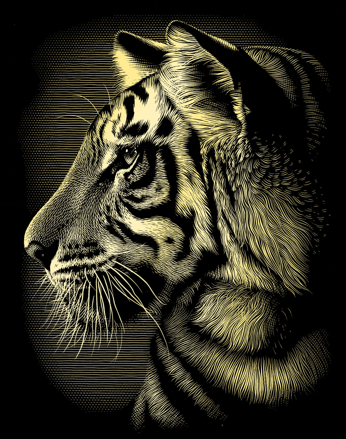 Reeves  Gravurfolien Gold Tiger