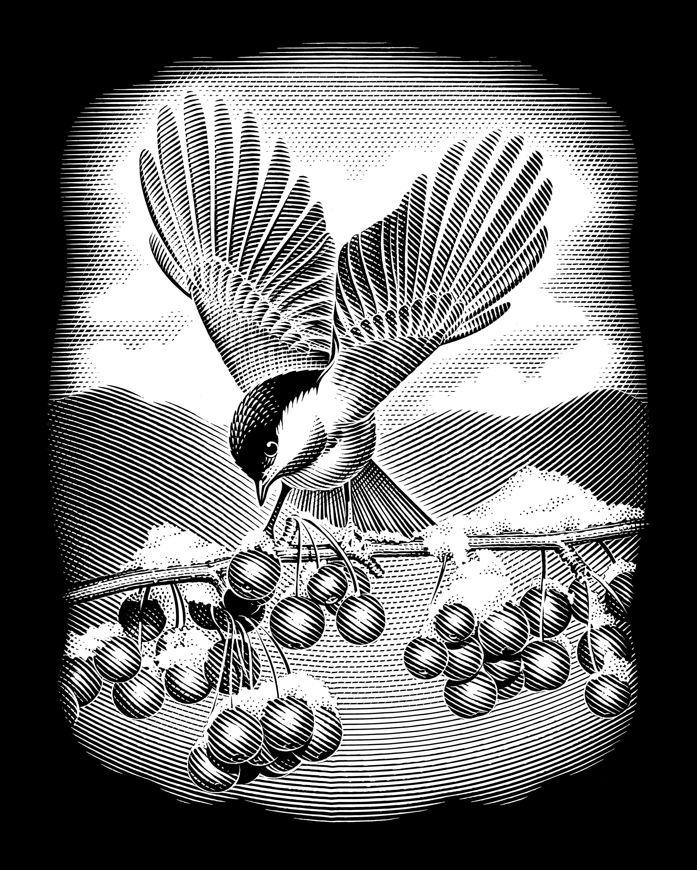 Reeves Gravurfolien Silber Vogel mit Beeren