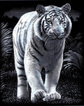 Reeves Gravurfolien Silber Weißer Tiger